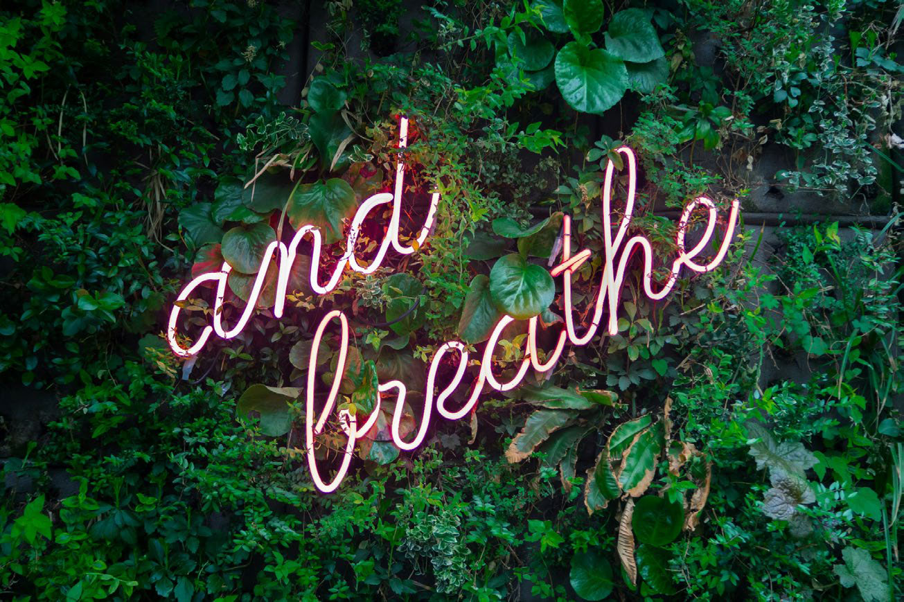 Pink neon ‘and breathe’ sign surrounded by green plants, representing grounding and relaxation techniques used during EMDR therapy in NC and SC